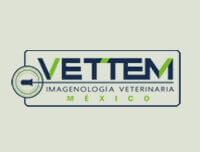 Grupo Vettem